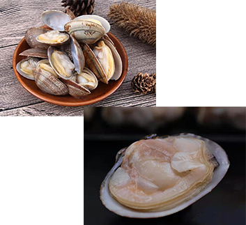 冷凍水產(chǎn)品，肉制品